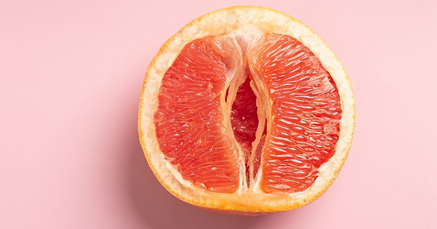 Porn Siren Kelly Collins Internet 2 XRCO Honors Nominations Porn Siren Kelly Collins Internet 2 XRCO Honors Nominations